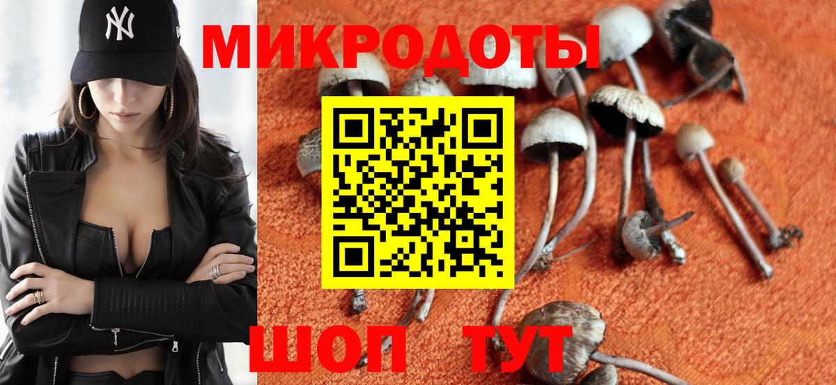 Галлюциногенные грибы Magic Shrooms  Галлюциногенные грибы Psilocybe  Вход с VPN  Алексин 